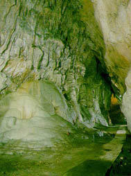 LAZAR'S CAVE