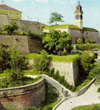  Petrovaradin Fortress